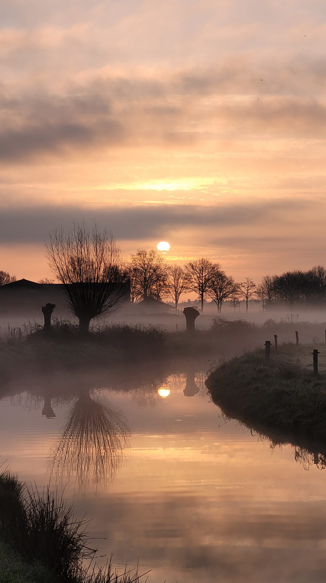 Mistige zonsopkomst