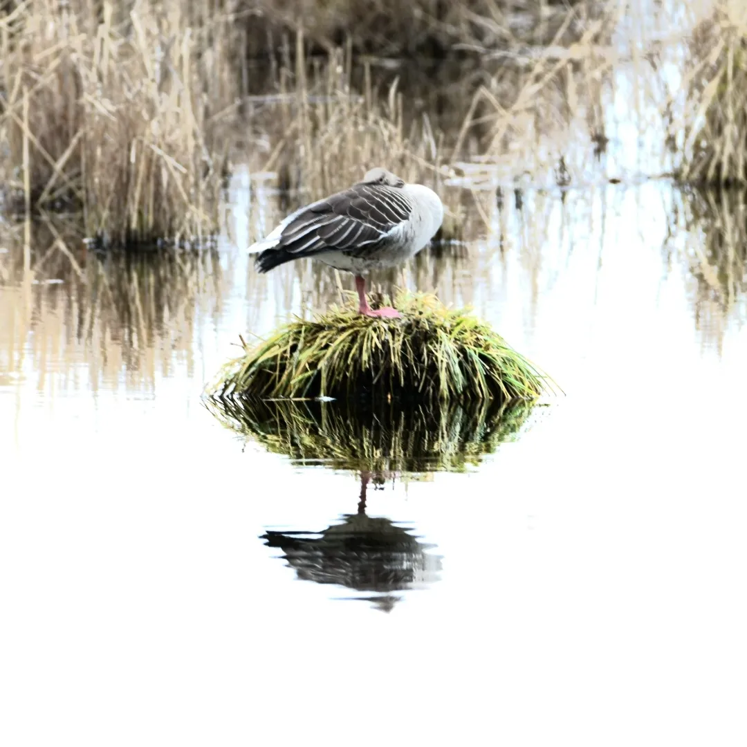 Op een onbewoond eiland (je)